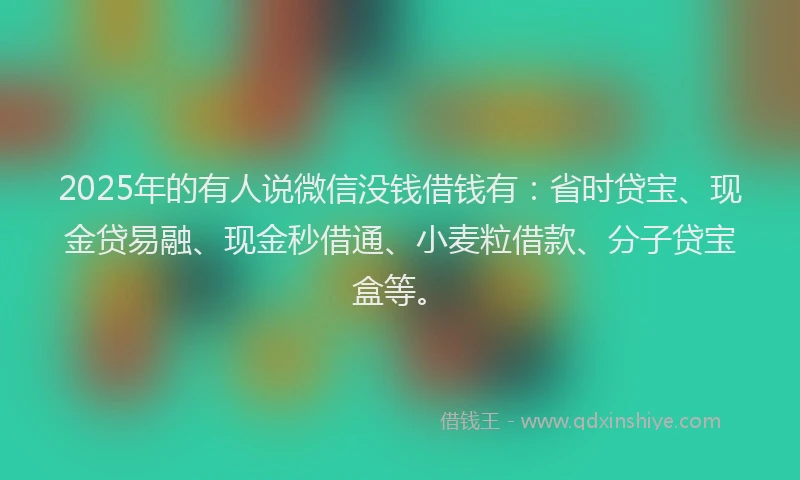 2025年的有人说微信没钱借钱有：省时贷宝、现金贷易融、现金秒借通、小麦粒借款、分子贷宝盒等。