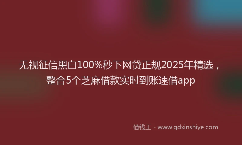 无视征信黑白100%秒下网贷正规2025年精选，整合5个芝麻借款实时到账速借app