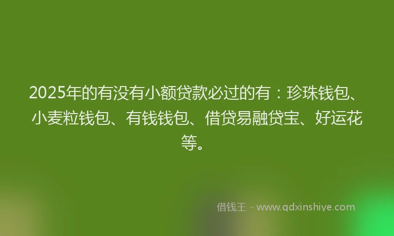 2025年的有没有小额贷款必过的有：珍珠钱包、小麦粒钱包、有钱钱包、借贷易融贷宝、好运花等。