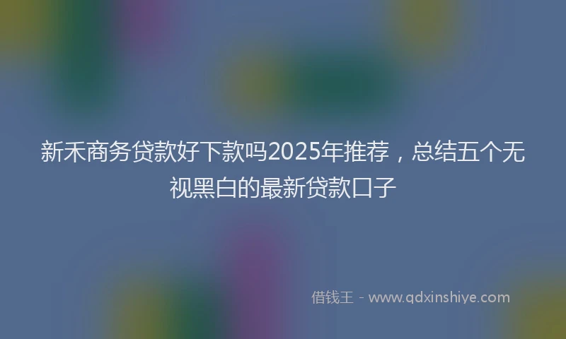 新禾商务贷款好下款吗2025年推荐，总结五个无视黑白的最新贷款口子