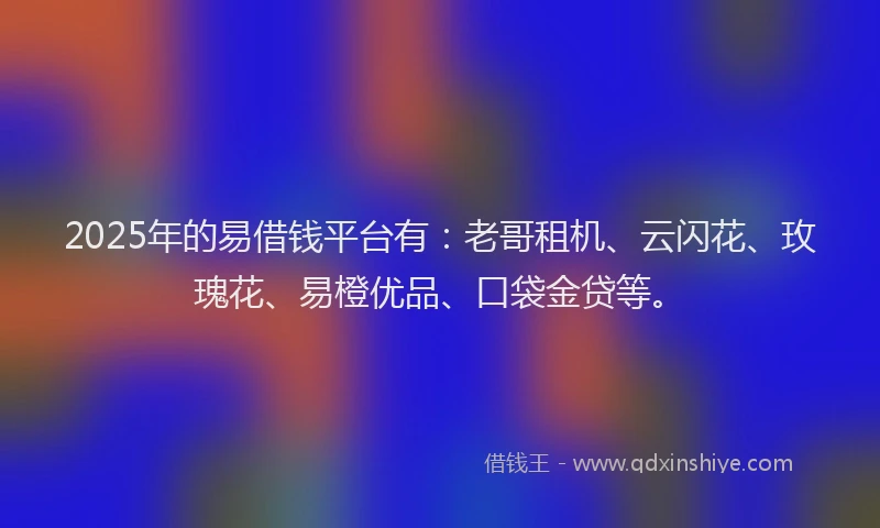 2025年的易借钱平台有：老哥租机、云闪花、玫瑰花、易橙优品、口袋金贷等。