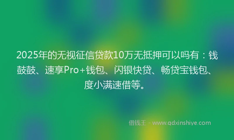 2025年的无视征信贷款10万无抵押可以吗有：钱鼓鼓、速享Pro+钱包、闪银快贷、畅贷宝钱包、度小满速借等。