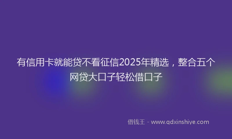 有信用卡就能贷不看征信2025年精选，整合五个网贷大口子轻松借口子