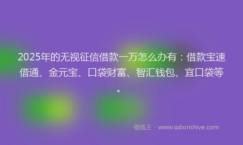 2025年的无视征信借款一万怎么办有：借款宝速借通、金元宝、口袋财富、智汇钱包、宜口袋等。