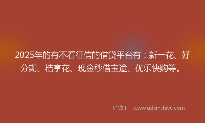2025年的有不看征信的借贷平台有：新一花、好分期、桔享花、现金秒借宝途、优乐快购等。