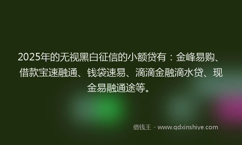 2025年的无视黑白征信的小额贷有：金峰易购、借款宝速融通、钱袋速易、滴滴金融滴水贷、现金易融通途等。