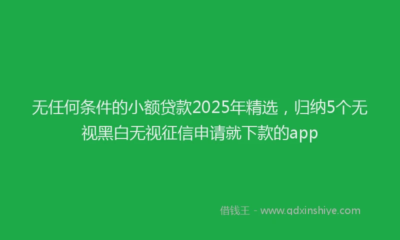 无任何条件的小额贷款2025年精选，归纳5个无视黑白无视征信申请就下款的app