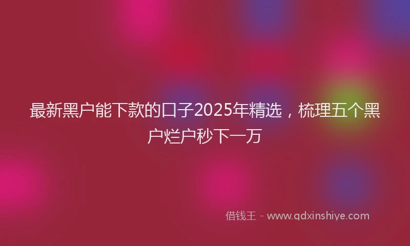 最新黑户能下款的口子2025年精选，梳理五个黑户烂户秒下一万