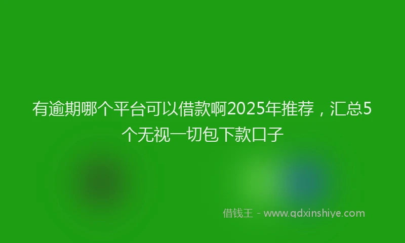 有逾期哪个平台可以借款啊2025年推荐，汇总5个无视一切包下款口子