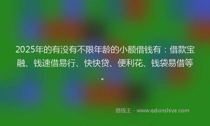 2025年的有没有不限年龄的小额借钱有：借款宝融、钱速借易行、快快贷、便利花、钱袋易借等。