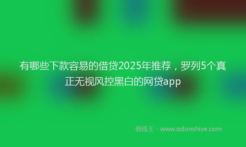 有哪些下款容易的借贷2025年推荐，罗列5个真正无视风控黑白的网贷app