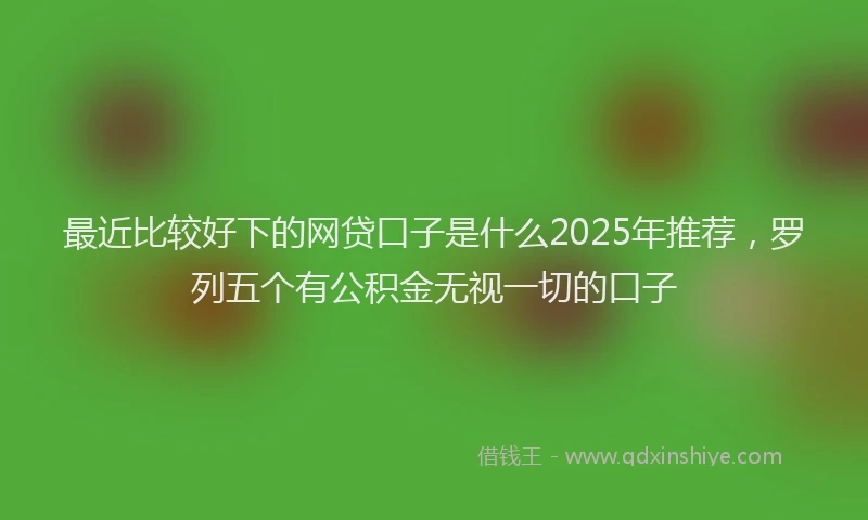 最近比较好下的网贷口子是什么2025年推荐，罗列五个有公积金无视一切的口子