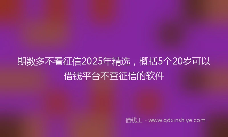 期数多不看征信2025年精选，概括5个20岁可以借钱平台不查征信的软件