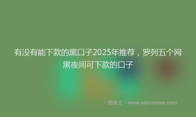 有没有能下款的黑口子2025年推荐，罗列五个网黑夜间可下款的口子
