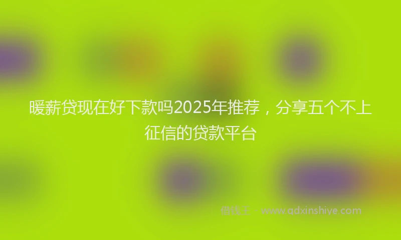 暖薪贷现在好下款吗2025年推荐，分享五个不上征信的贷款平台