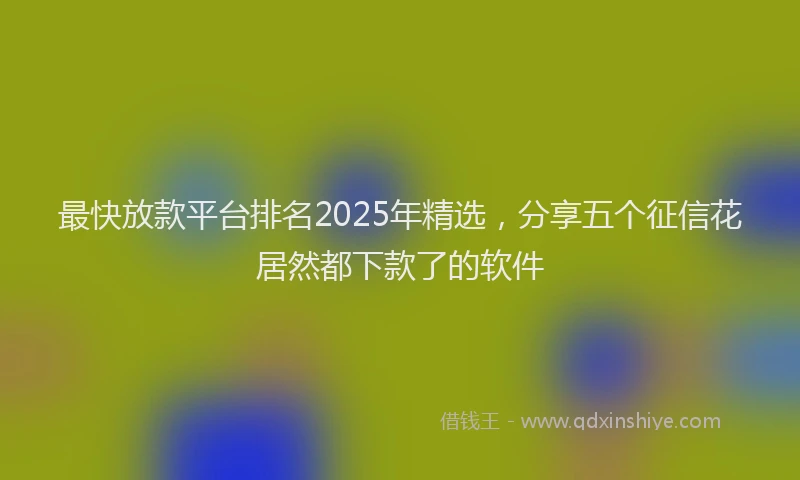 最快放款平台排名2025年精选，分享五个征信花居然都下款了的软件