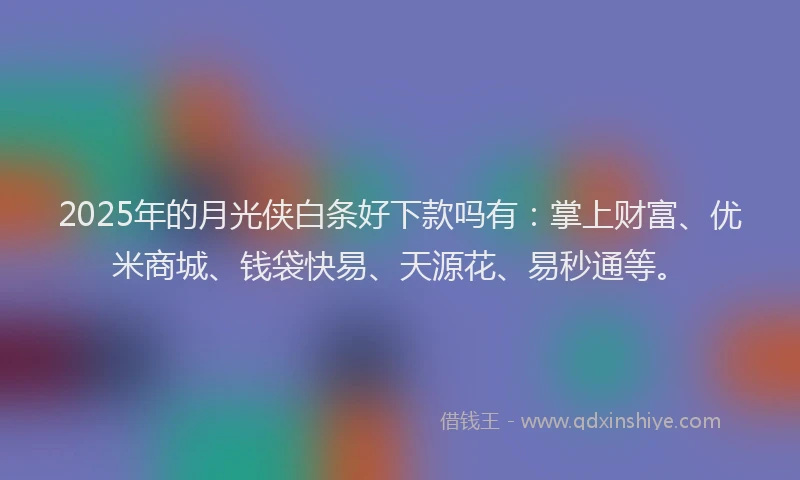 2025年的月光侠白条好下款吗有：掌上财富、优米商城、钱袋快易、天源花、易秒通等。