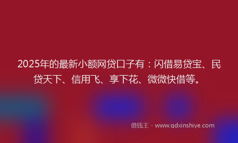 2025年的最新小额网贷口子有：闪借易贷宝、民贷天下、信用飞、享下花、微微快借等。