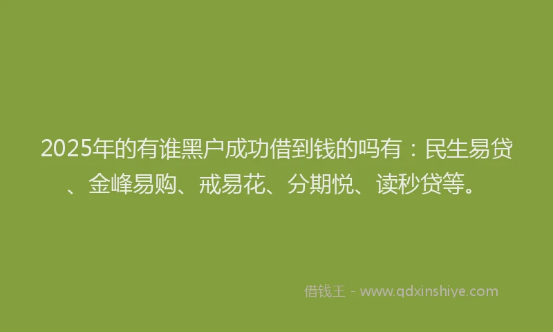 2025年的有谁黑户成功借到钱的吗有：民生易贷、金峰易购、戒易花、分期悦、读秒贷等。