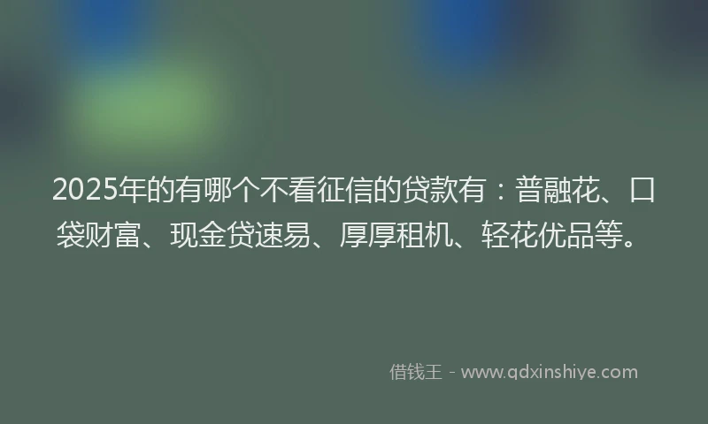 2025年的有哪个不看征信的贷款有：普融花、口袋财富、现金贷速易、厚厚租机、轻花优品等。