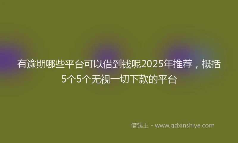 有逾期哪些平台可以借到钱呢2025年推荐，概括5个5个无视一切下款的平台