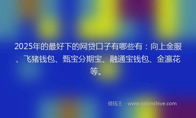 2025年的最好下的网贷口子有哪些有：向上金服、飞猪钱包、甄宝分期宝、融通宝钱包、金瀛花等。