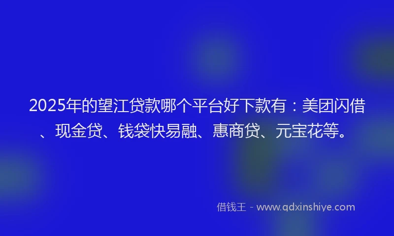 2025年的望江贷款哪个平台好下款有：美团闪借、现金贷、钱袋快易融、惠商贷、元宝花等。