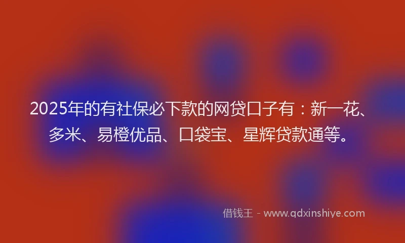2025年的有社保必下款的网贷口子有：新一花、多米、易橙优品、口袋宝、星辉贷款通等。