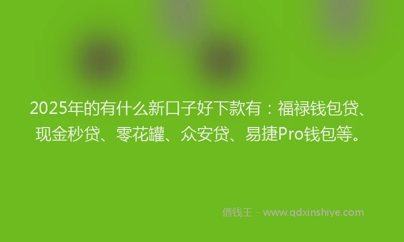 2025年的有什么新口子好下款有：福禄钱包贷、现金秒贷、零花罐、众安贷、易捷Pro钱包等。