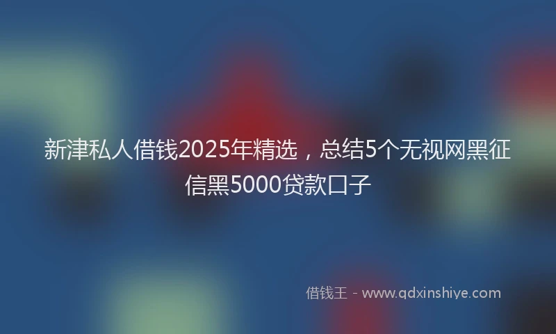 新津私人借钱2025年精选，总结5个无视网黑征信黑5000贷款口子
