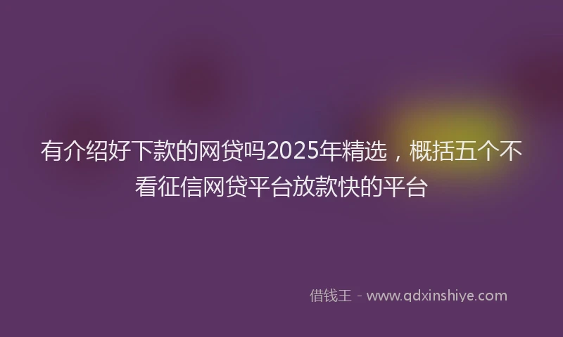有介绍好下款的网贷吗2025年精选，概括五个不看征信网贷平台放款快的平台