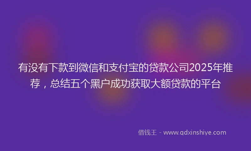 有没有下款到微信和支付宝的贷款公司2025年推荐，总结五个黑户成功获取大额贷款的平台