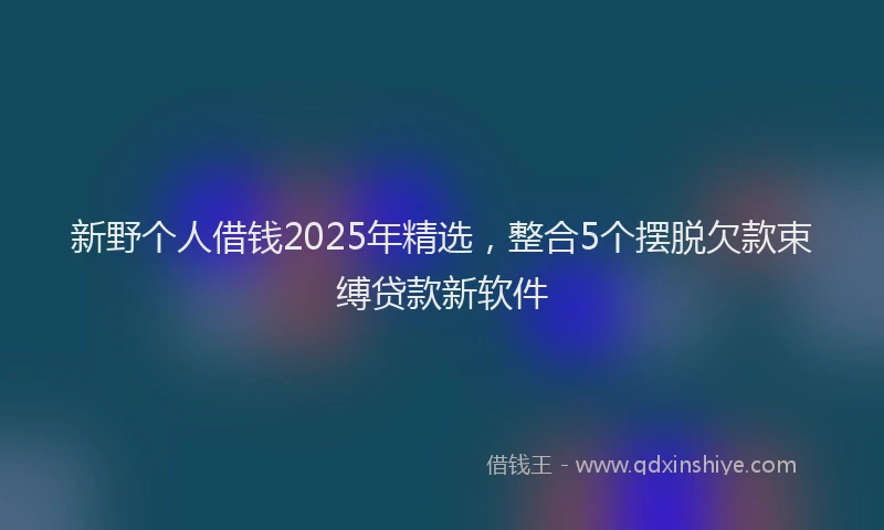 新野个人借钱2025年精选，整合5个摆脱欠款束缚贷款新软件