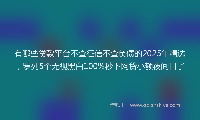有哪些贷款平台不查征信不查负债的2025年精选，罗列5个无视黑白100%秒下网贷小额夜间口子
