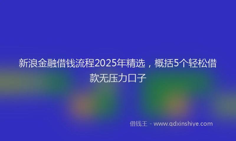 新浪金融借钱流程2025年精选，概括5个轻松借款无压力口子