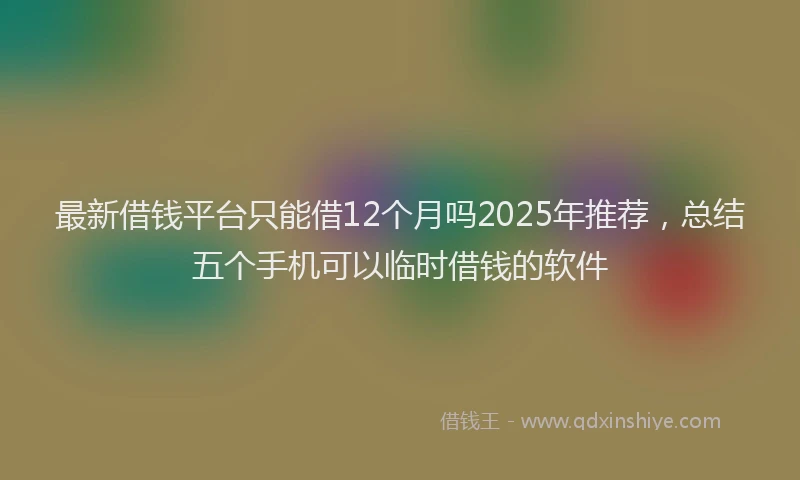 最新借钱平台只能借12个月吗2025年推荐，总结五个手机可以临时借钱的软件