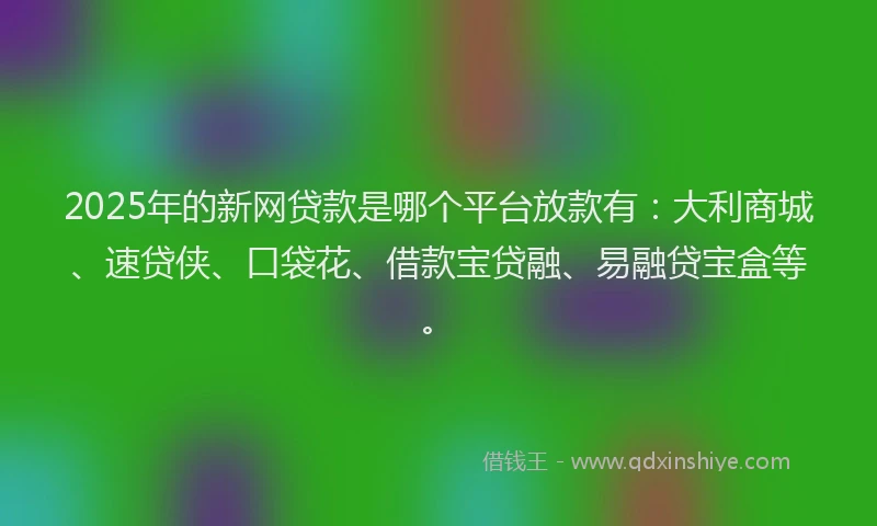 2025年的新网贷款是哪个平台放款有：大利商城、速贷侠、口袋花、借款宝贷融、易融贷宝盒等。