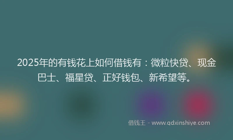 2025年的有钱花上如何借钱有：微粒快贷、现金巴士、福星贷、正好钱包、新希望等。