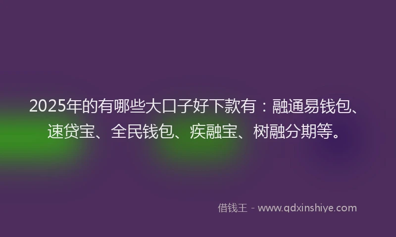 2025年的有哪些大口子好下款有：融通易钱包、速贷宝、全民钱包、疾融宝、树融分期等。