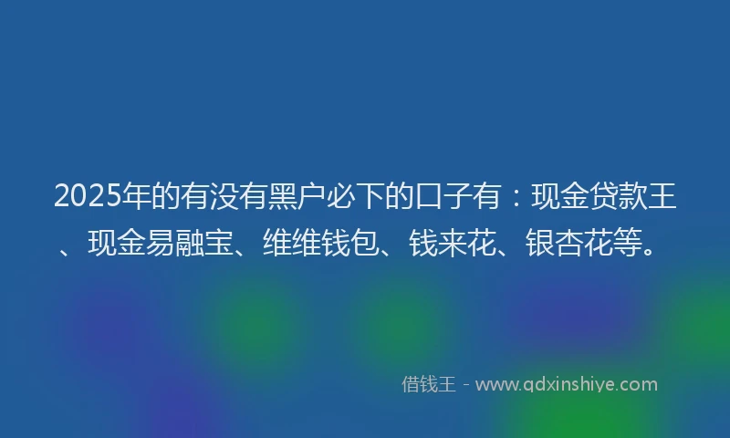 2025年的有没有黑户必下的口子有：现金贷款王、现金易融宝、维维钱包、钱来花、银杏花等。