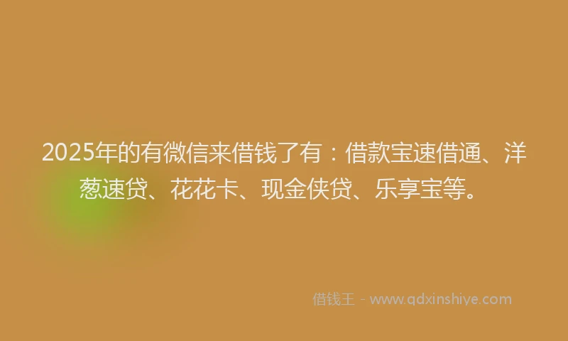 2025年的有微信来借钱了有：借款宝速借通、洋葱速贷、花花卡、现金侠贷、乐享宝等。
