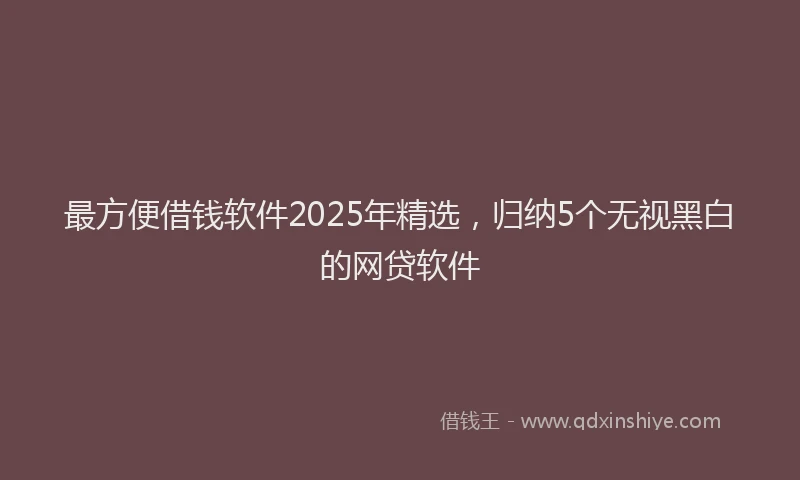 最方便借钱软件2025年精选，归纳5个无视黑白的网贷软件