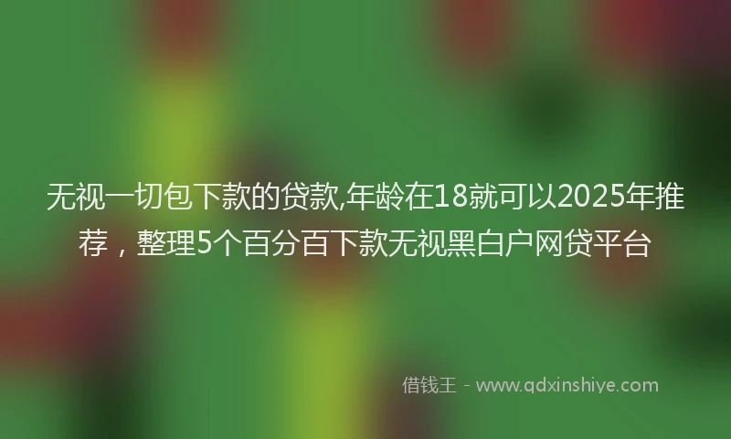 无视一切包下款的贷款,年龄在18就可以2025年推荐，整理5个百分百下款无视黑白户网贷平台