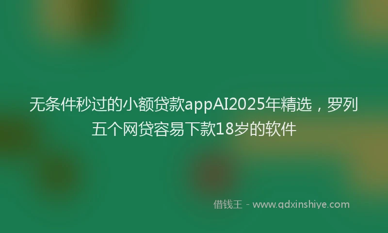 无条件秒过的小额贷款appAI2025年精选，罗列五个网贷容易下款18岁的软件