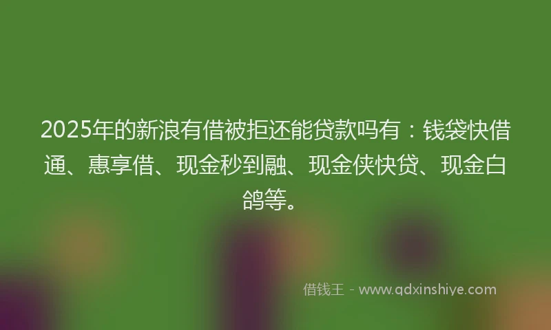 2025年的新浪有借被拒还能贷款吗有：钱袋快借通、惠享借、现金秒到融、现金侠快贷、现金白鸽等。
