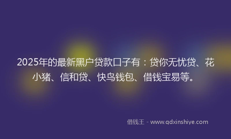 2025年的最新黑户贷款口子有：贷你无忧贷、花小猪、信和贷、快鸟钱包、借钱宝易等。