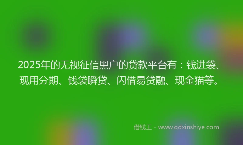 2025年的无视征信黑户的贷款平台有：钱进袋、现用分期、钱袋瞬贷、闪借易贷融、现金猫等。