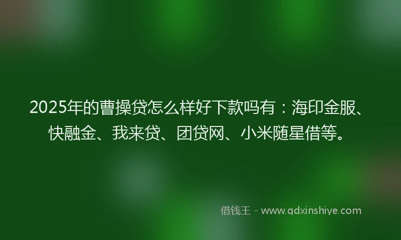2025年的曹操贷怎么样好下款吗有：海印金服、快融金、我来贷、团贷网、小米随星借等。
