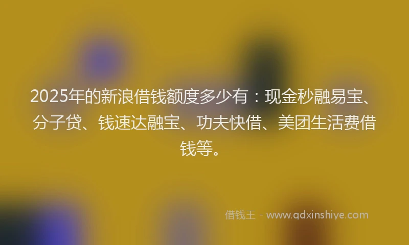 2025年的新浪借钱额度多少有：现金秒融易宝、分子贷、钱速达融宝、功夫快借、美团生活费借钱等。