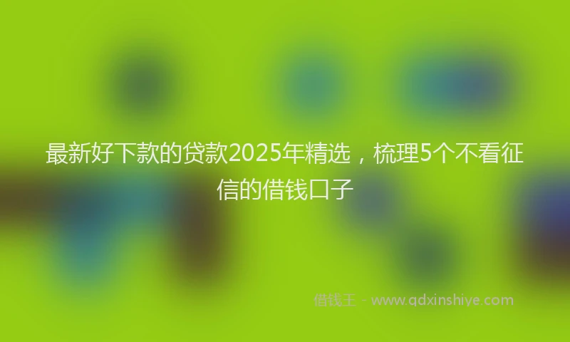 最新好下款的贷款2025年精选，梳理5个不看征信的借钱口子